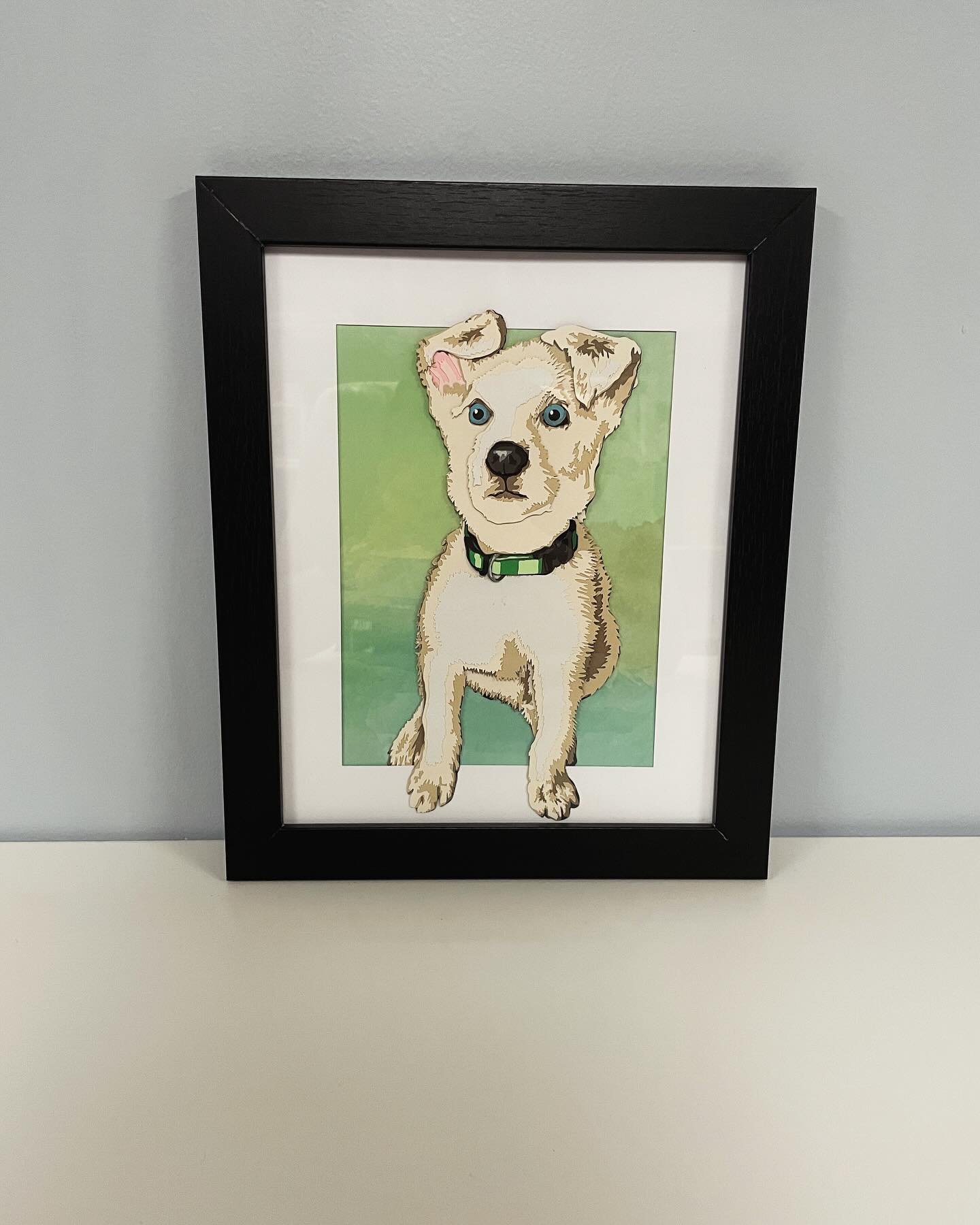 Meet Sammy! First full pet portrait completed in the new space. I am having quite a bit of technology trouble so I am quite relived that all the parts and pieces came together without much fuss. My favorite part is always the details - especially how