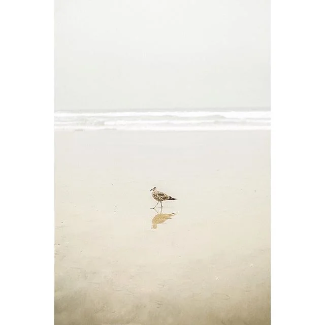 Blah day here in paradise