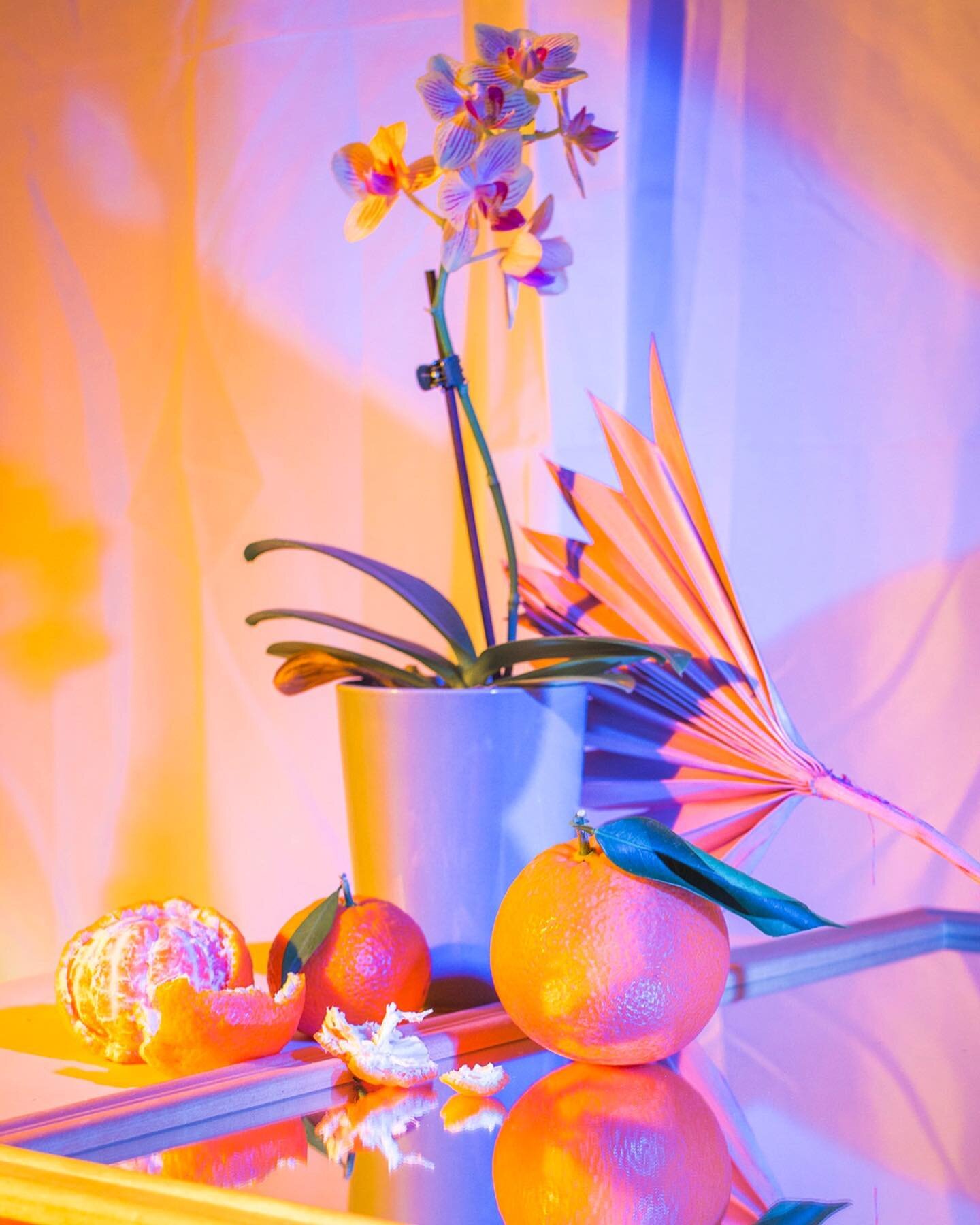 Orchids and Oranges 🍊 

Still life, lighting, and photog by me✨
.
.
.
.
.
.
.
.
.
#artbyalifutrell #stilllifepainting #stilllifephotography #stilllifereference #paintingreference #colorfulstilllife #contemporaryphotography #studiophotography #losang