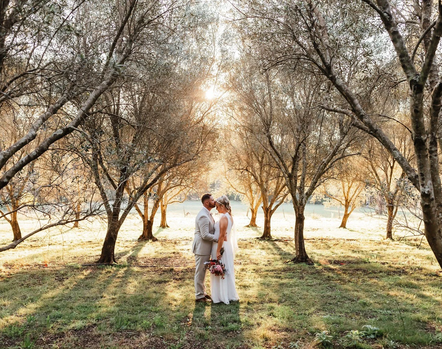 When the trees and sun understand the assignment 🫡🤌🏼
*
*
*
#storieswithmel #huntervalleyweddingphotographer #huntervalleywedding #weddingphotography #wedding #huntervalley #Australia #love #newcastle #weddinginspo #weddingaustralia #weddinggoals #