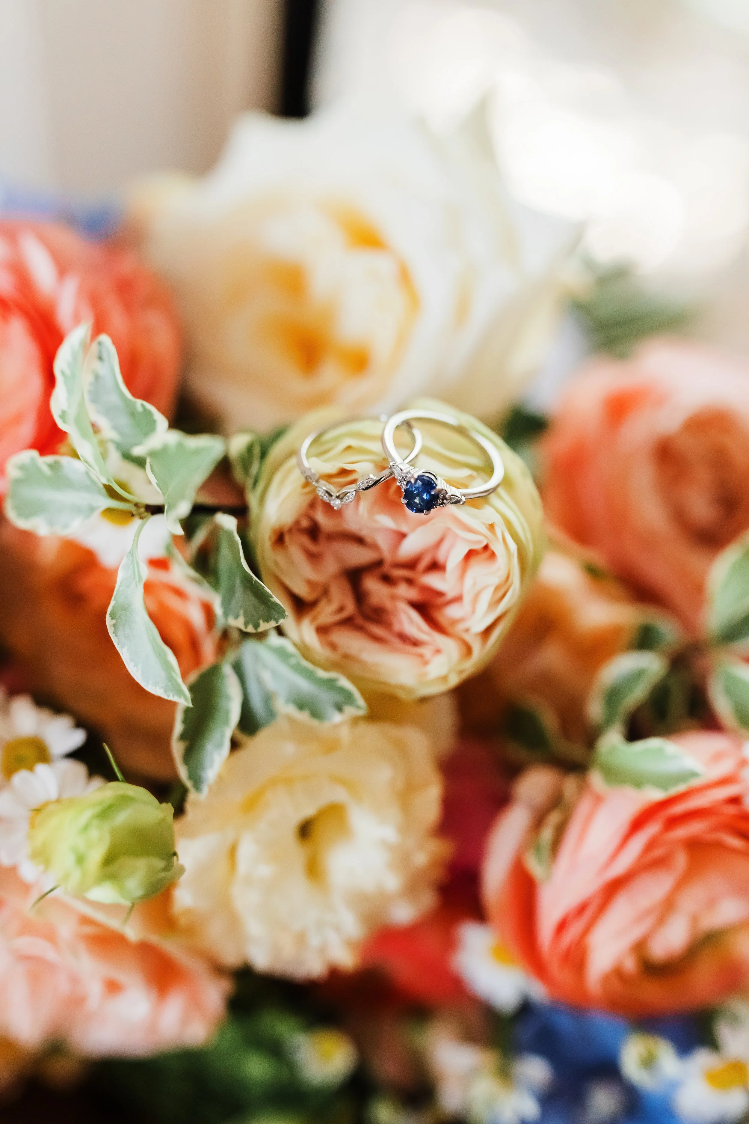 GENEVIEVE & LACH - 86.jpg