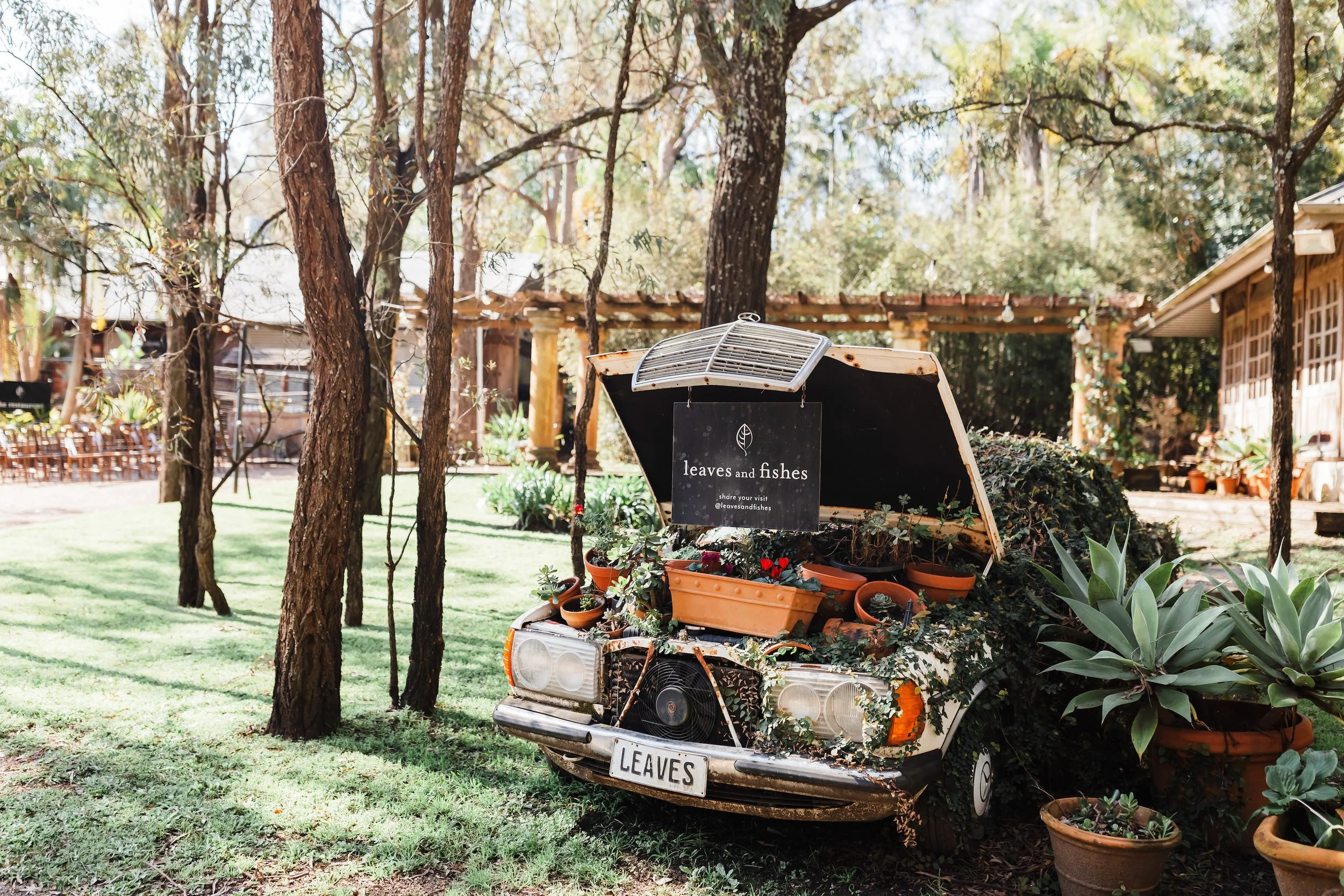 GENEVIEVE & LACH - 325.jpg