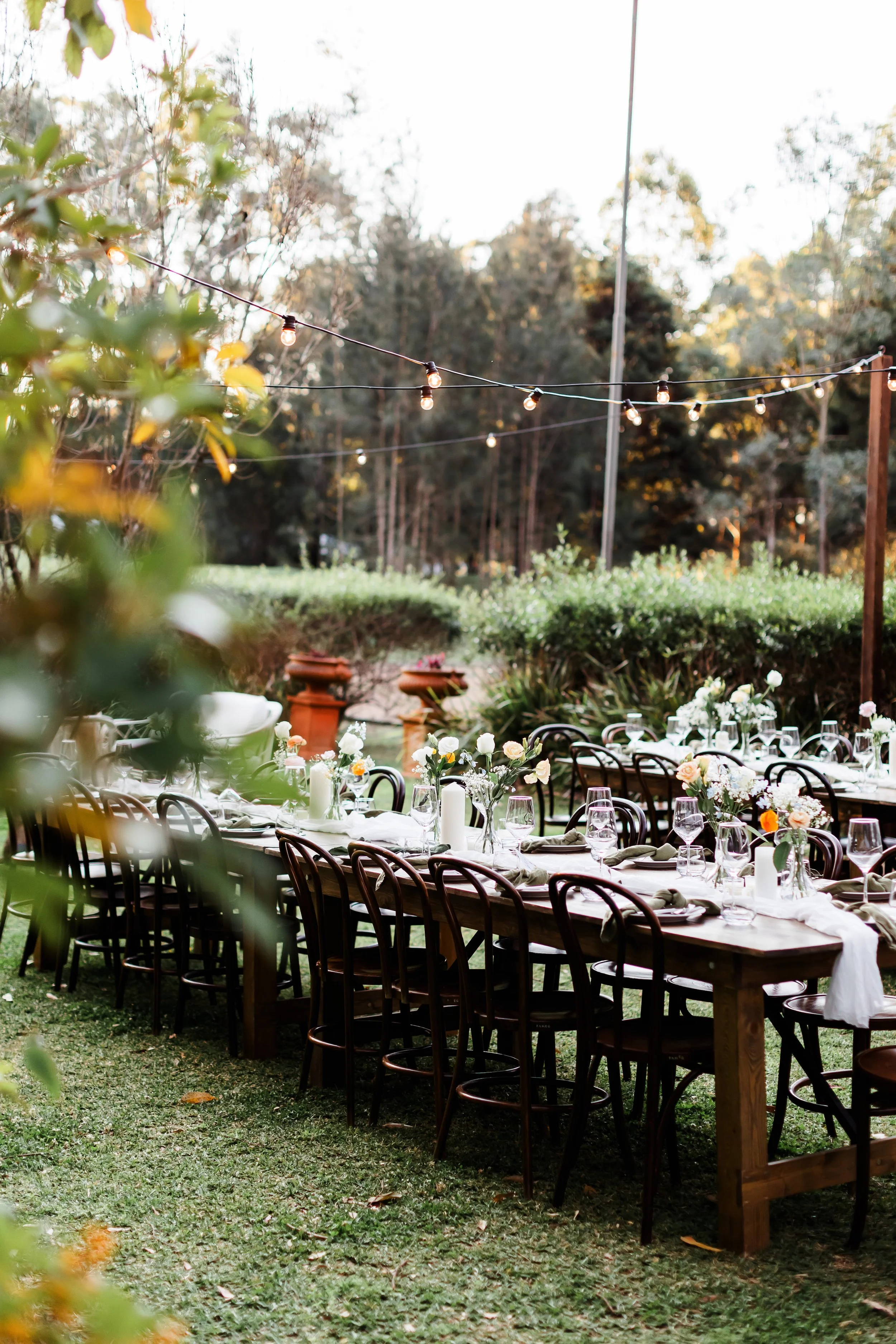 GENEVIEVE & LACH - 858.jpg