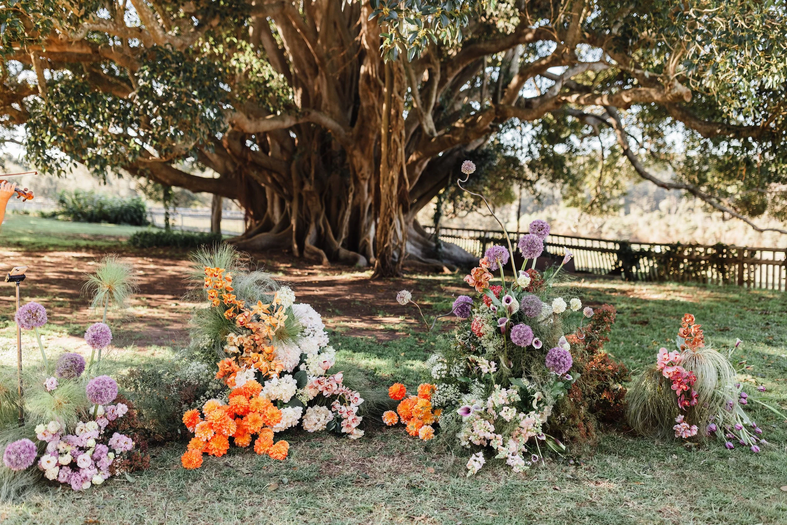 LIAM & BELLA - 300.jpg