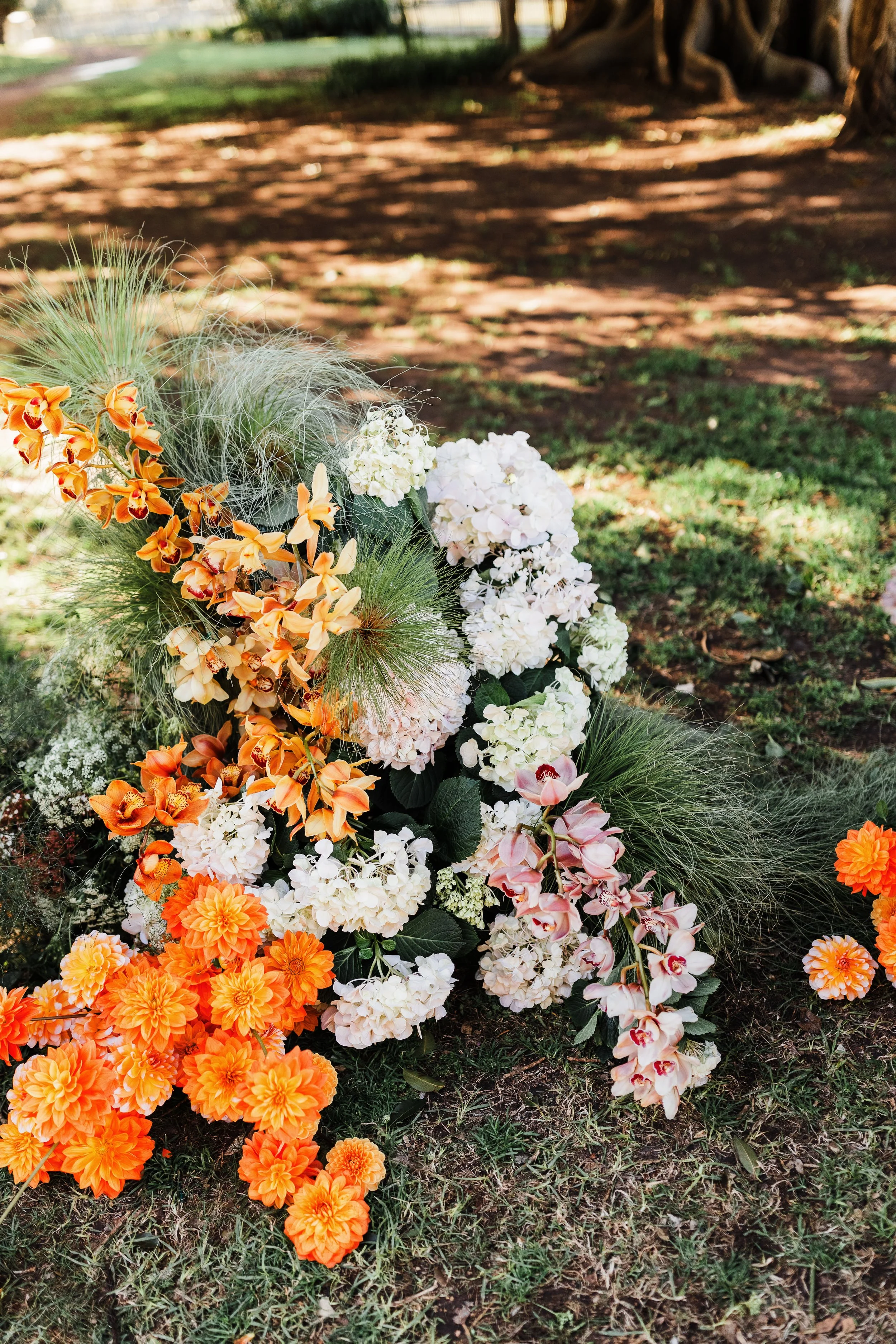 LIAM & BELLA - 303.jpg