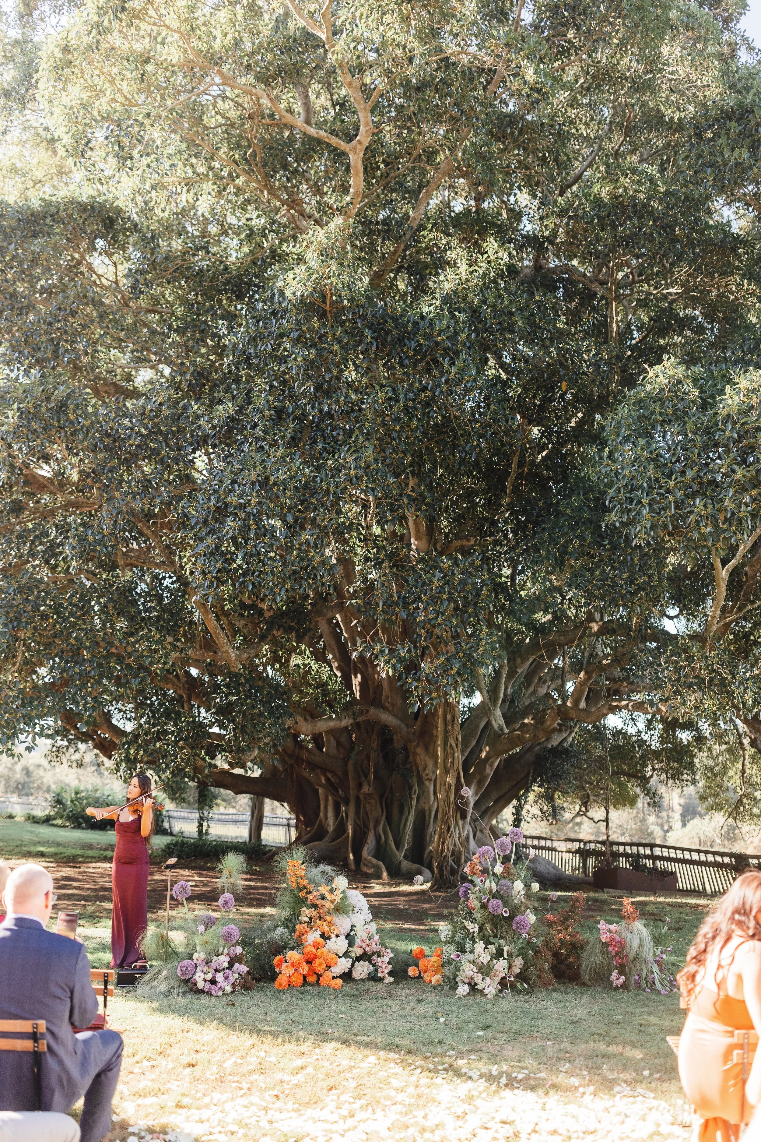 LIAM & BELLA - 307.jpg