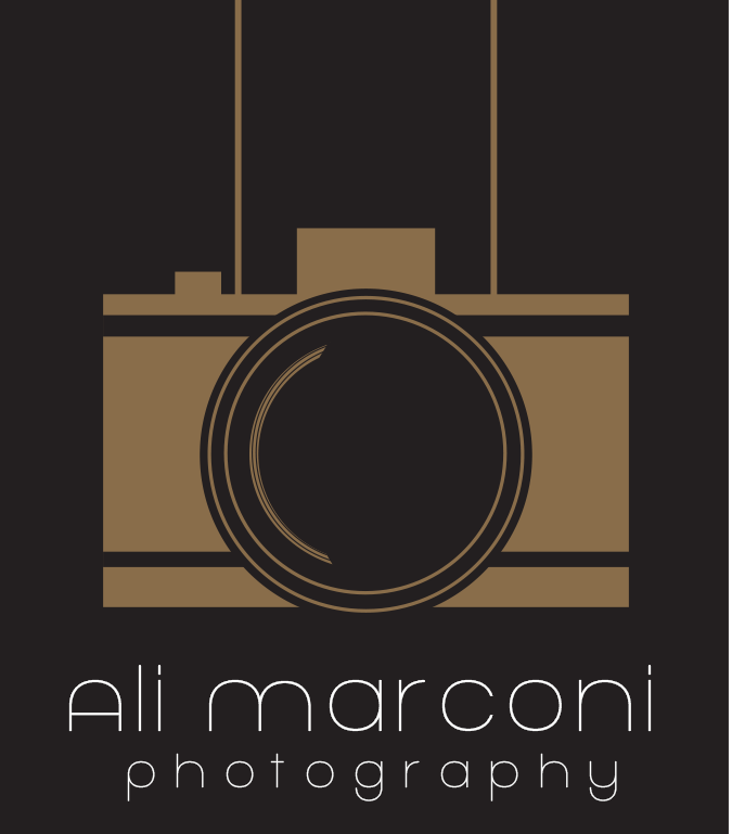 website logo may 9th .png