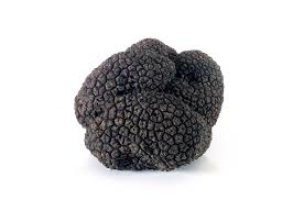 b.truffle.png