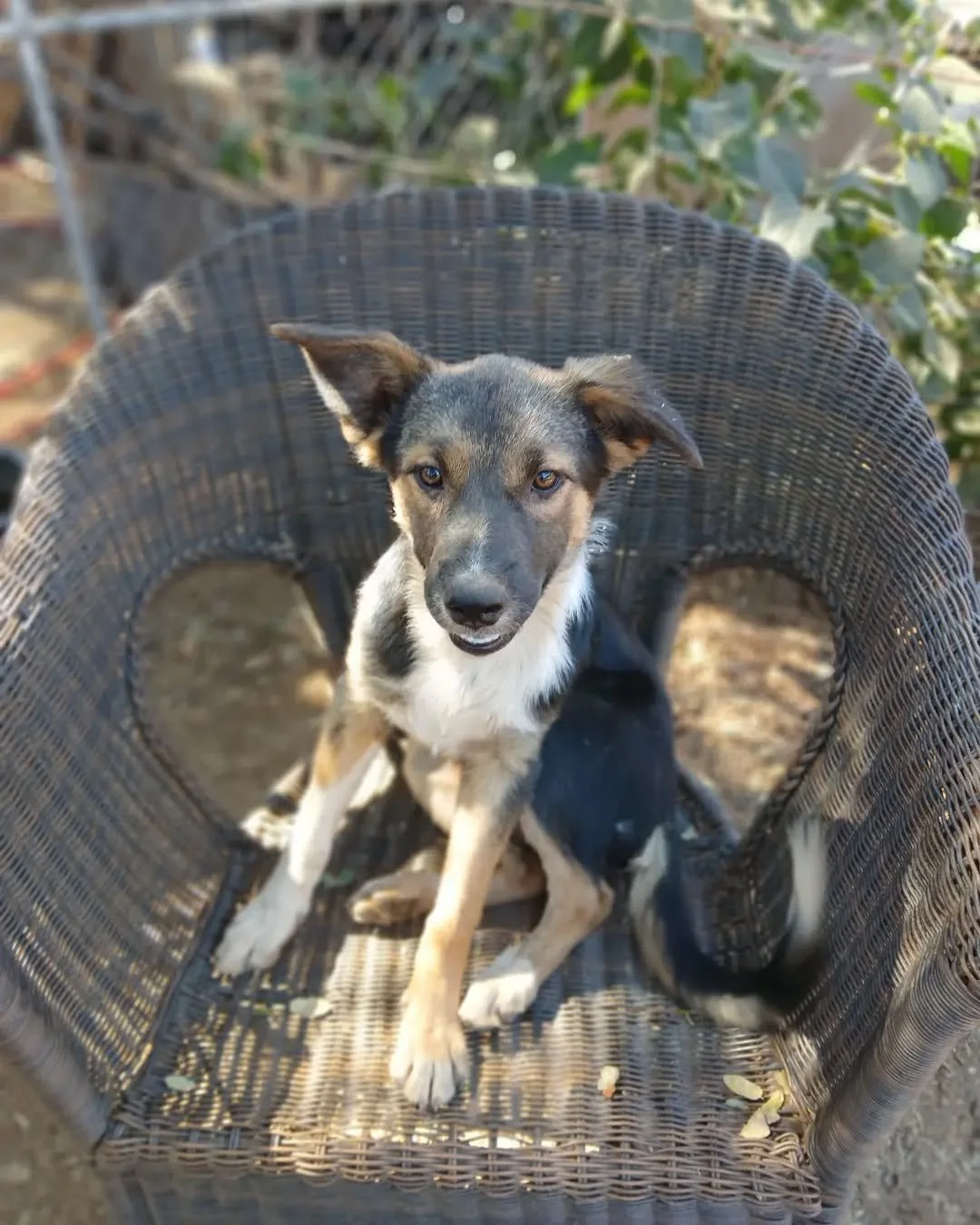 Lots of
workers on the farmer are looking for new homes. Heris one.
