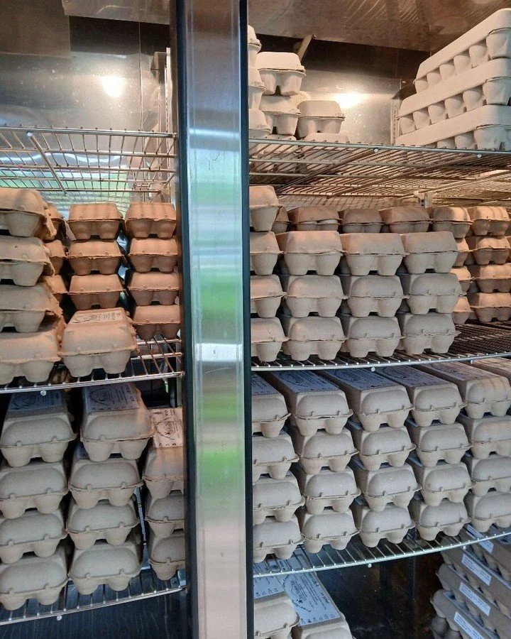 Carmichael Market canceled due to wind! So, make an appointment to come visit us at the farm this week! No shortage of soy &amp; corn free eggs here!! Come and buy eggs and greens. Or let us know if you want to help with our annual farm inspection on