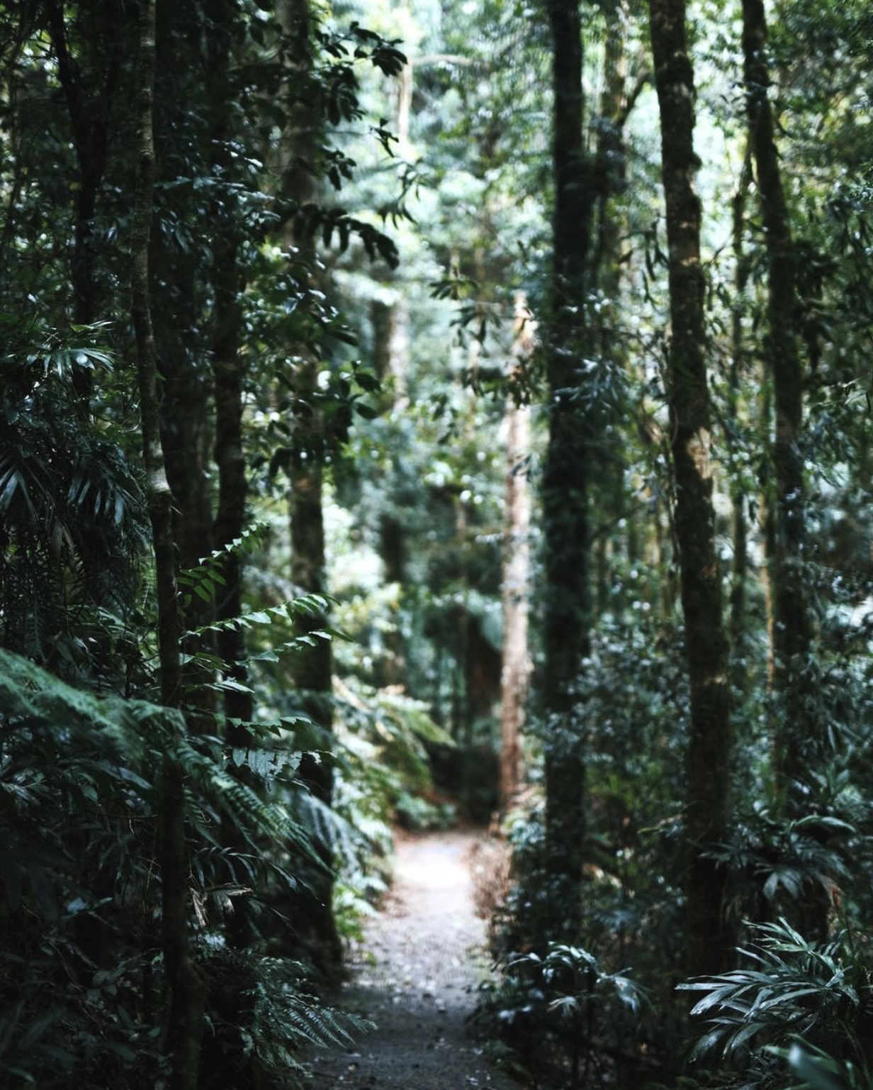 The Universe IS Listening