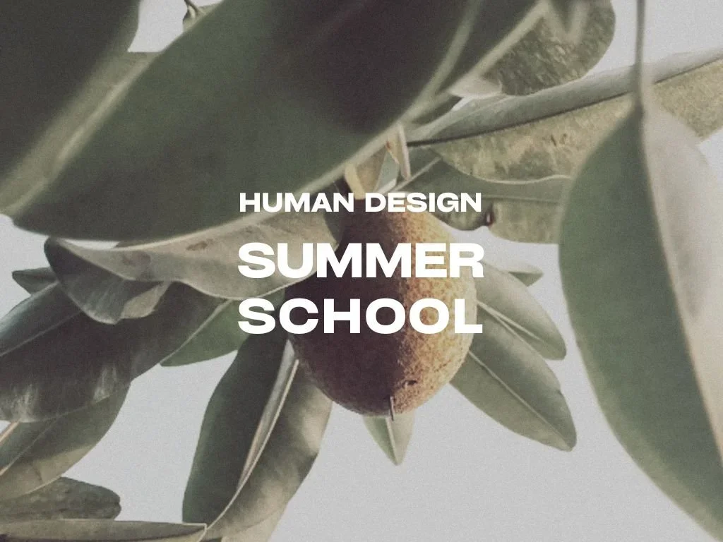 Human Design Summer School - Become a Certified Human Design Reader