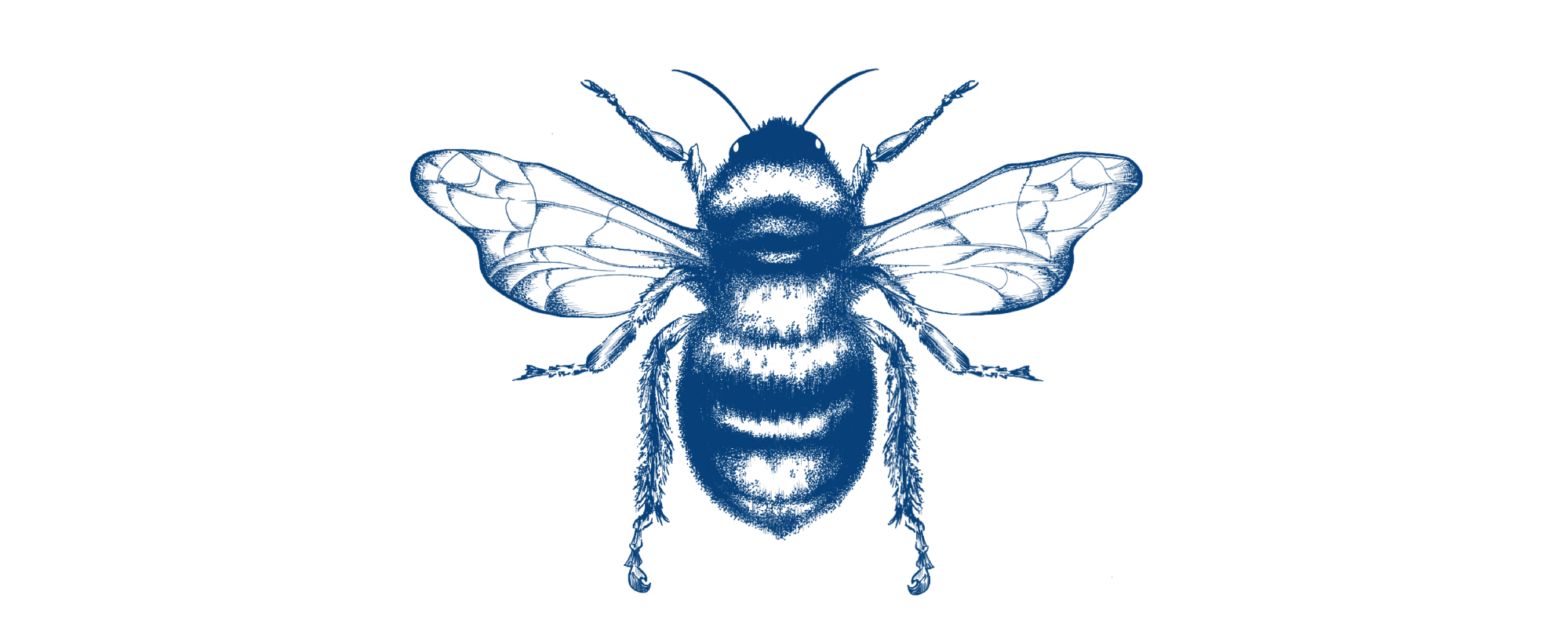 korynn.art design + direction bee