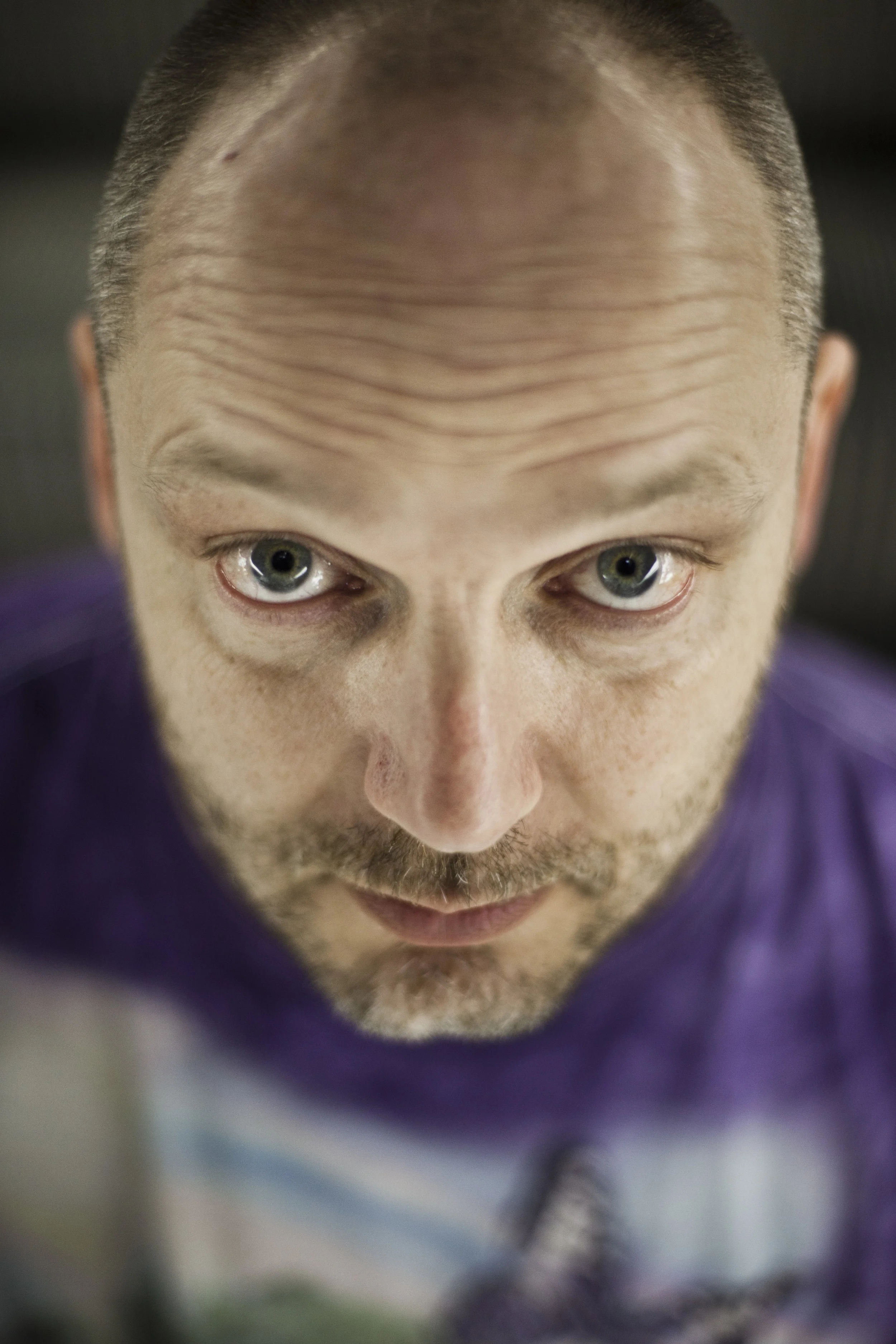 Sternberg, Kronstork (foto Maria Dønvang)6.jpg