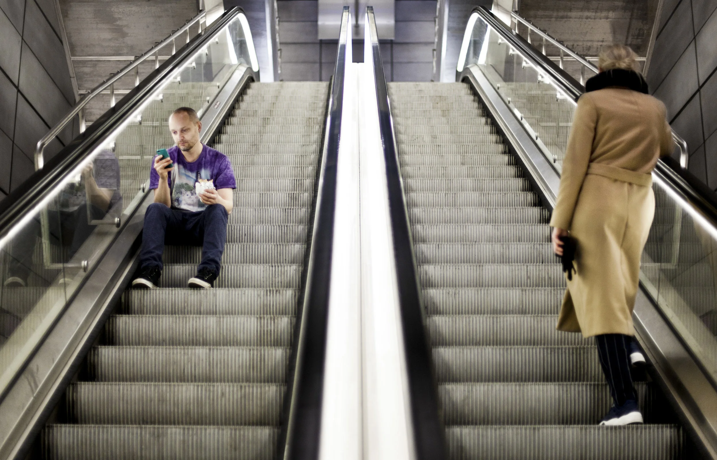 Sternberg, Kronstork (foto Maria Dønvang)9.jpg