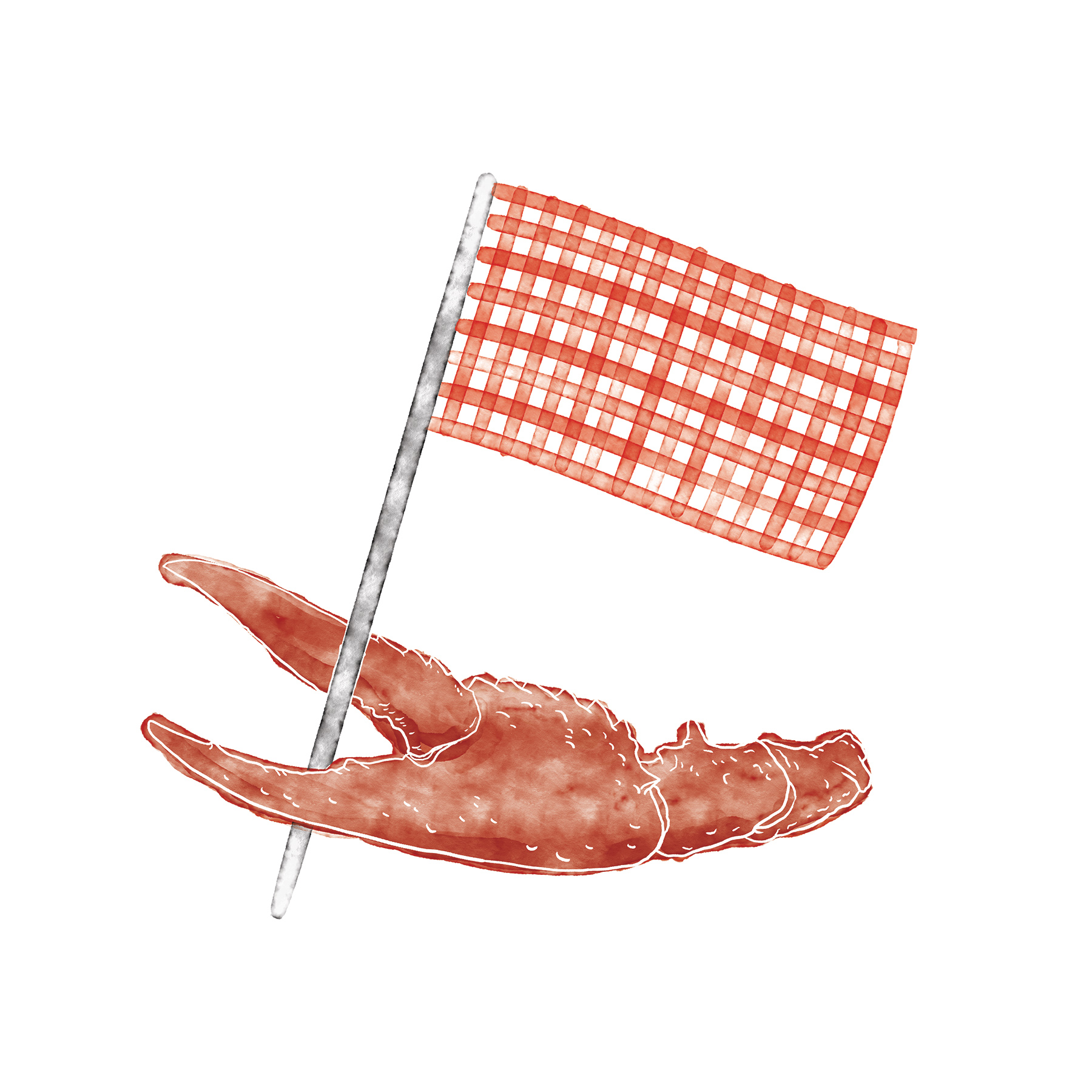 Crawfish Flag