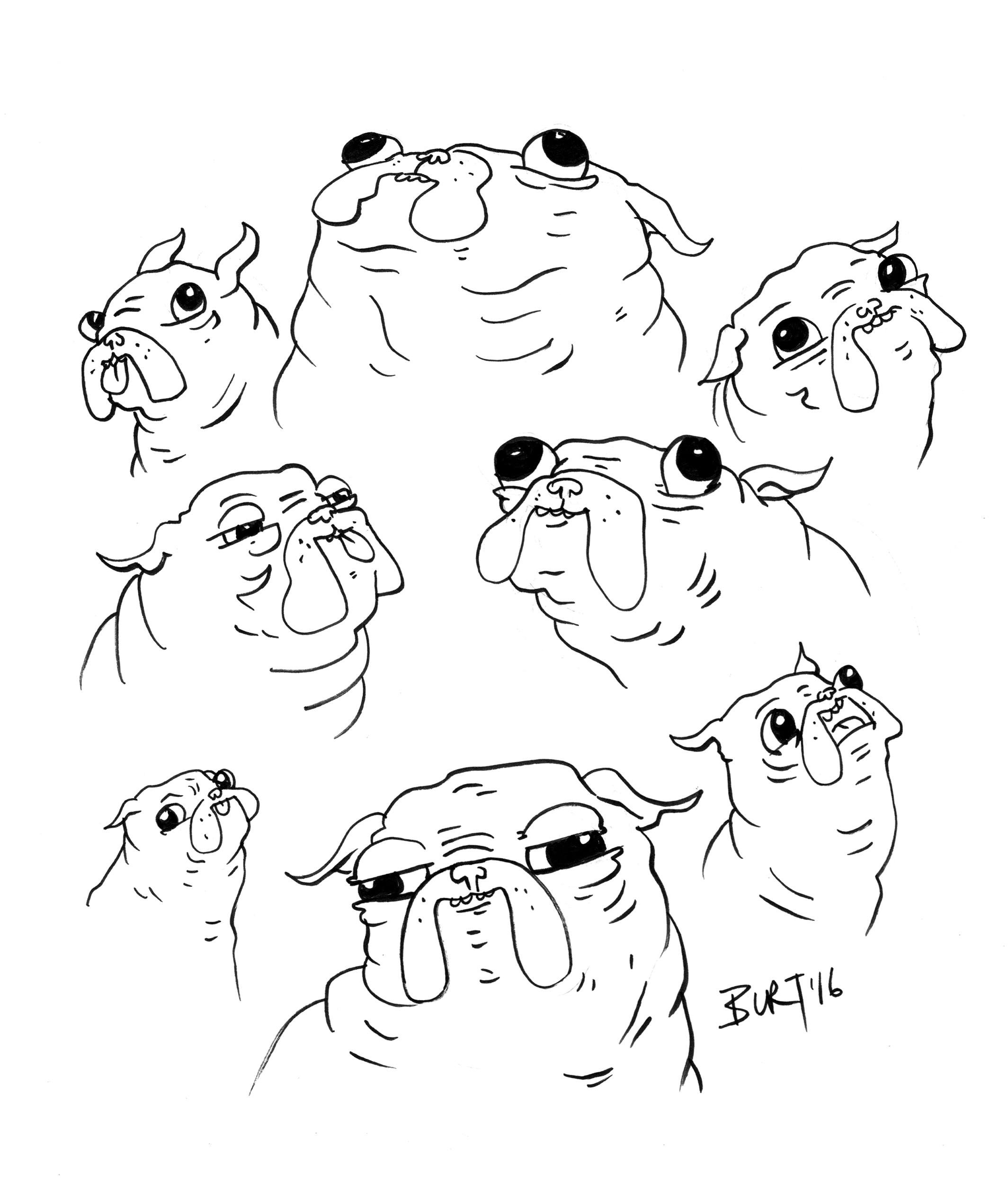 Pugs Pugs Pugs