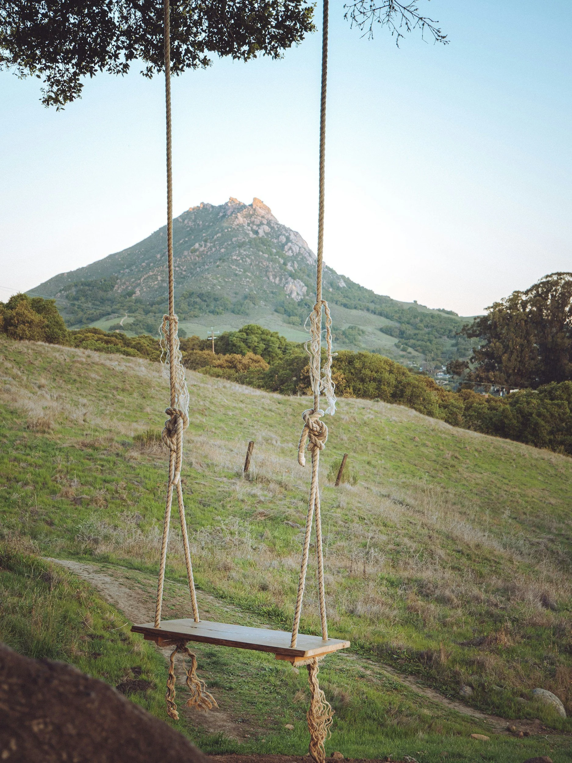 swing