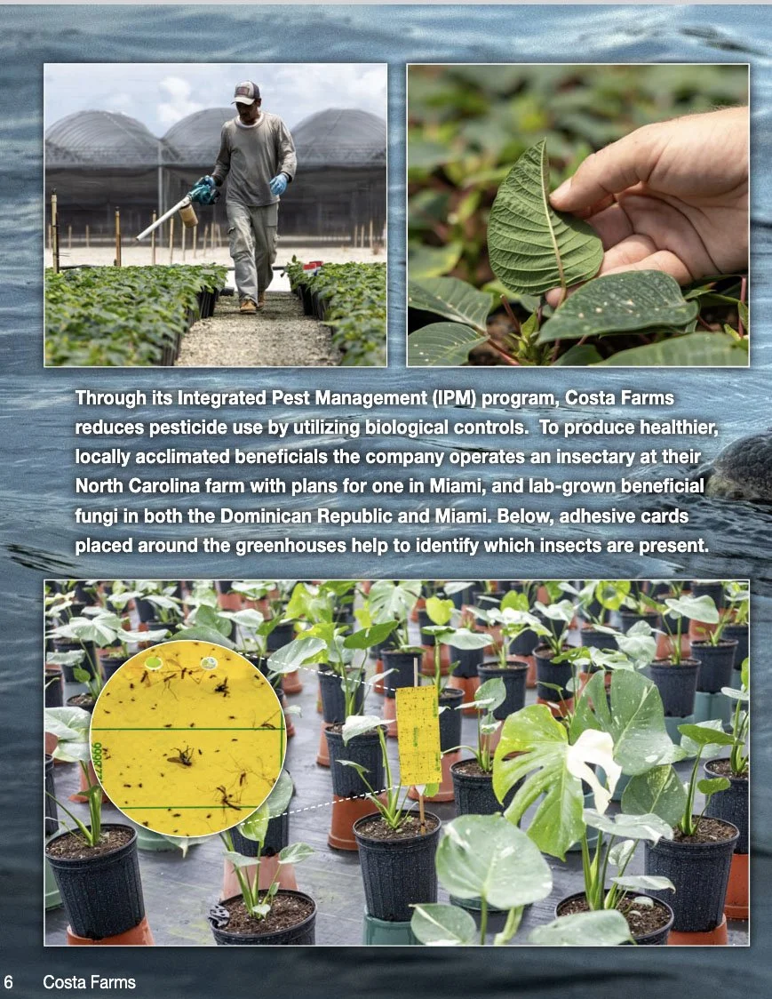 Screenshot 2025-07-22 at 8.45.48 AM copy.jpg