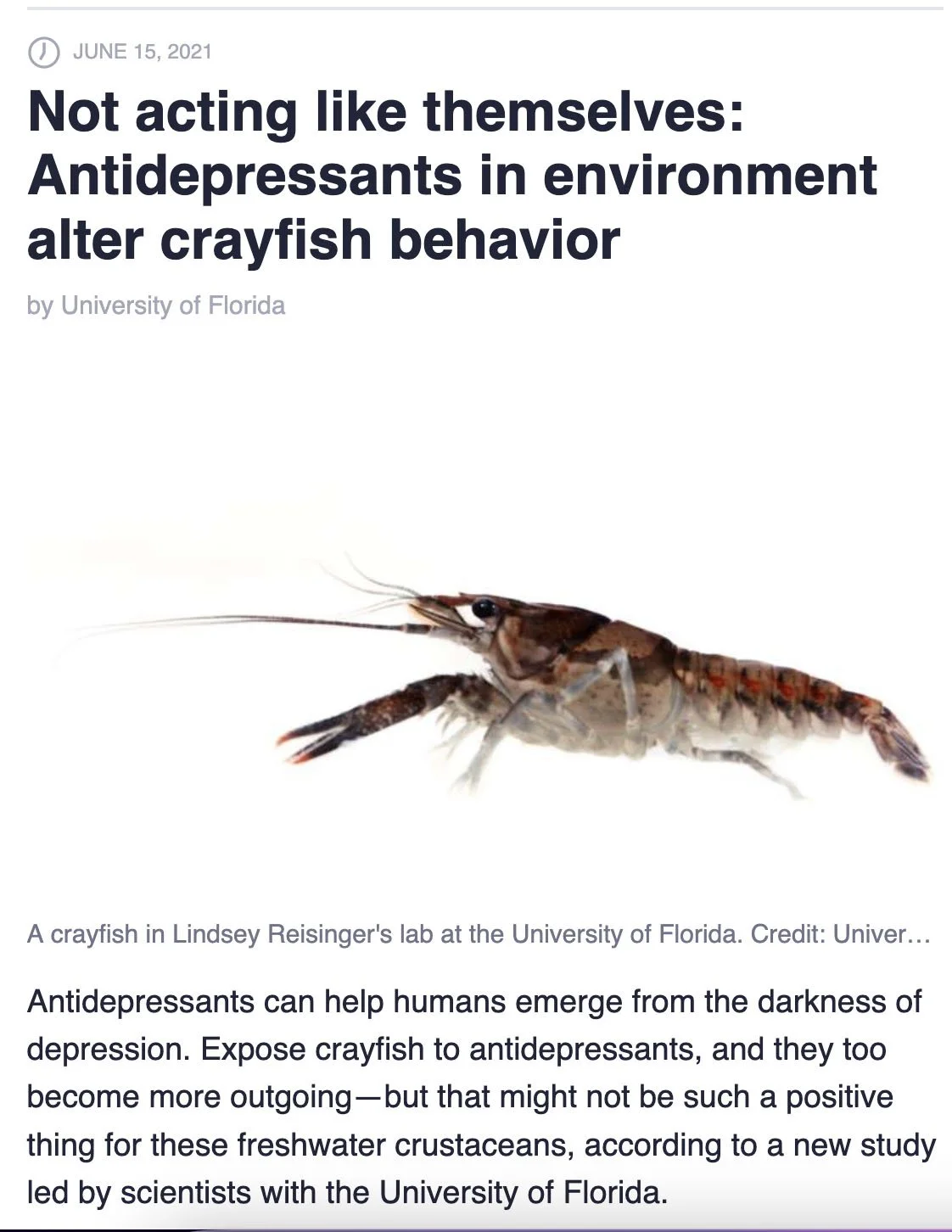 Screenshot 2026-01-06 at 3.37.27 PM copy.jpg