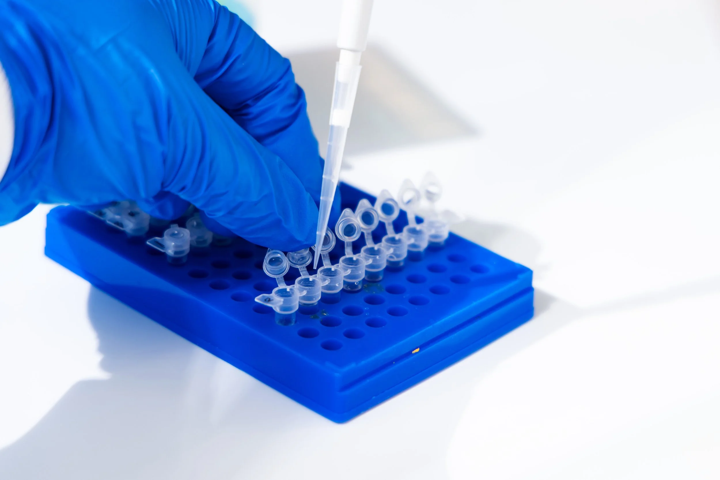 2025-11-17_UF_Engineering_Marketing-3346 copy.jpg