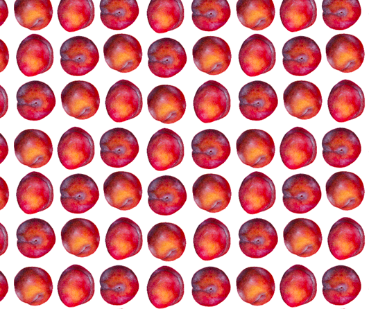 fabric repeat plums.png