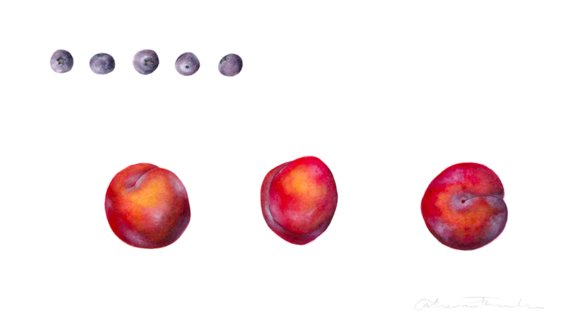 Plums and blueberries