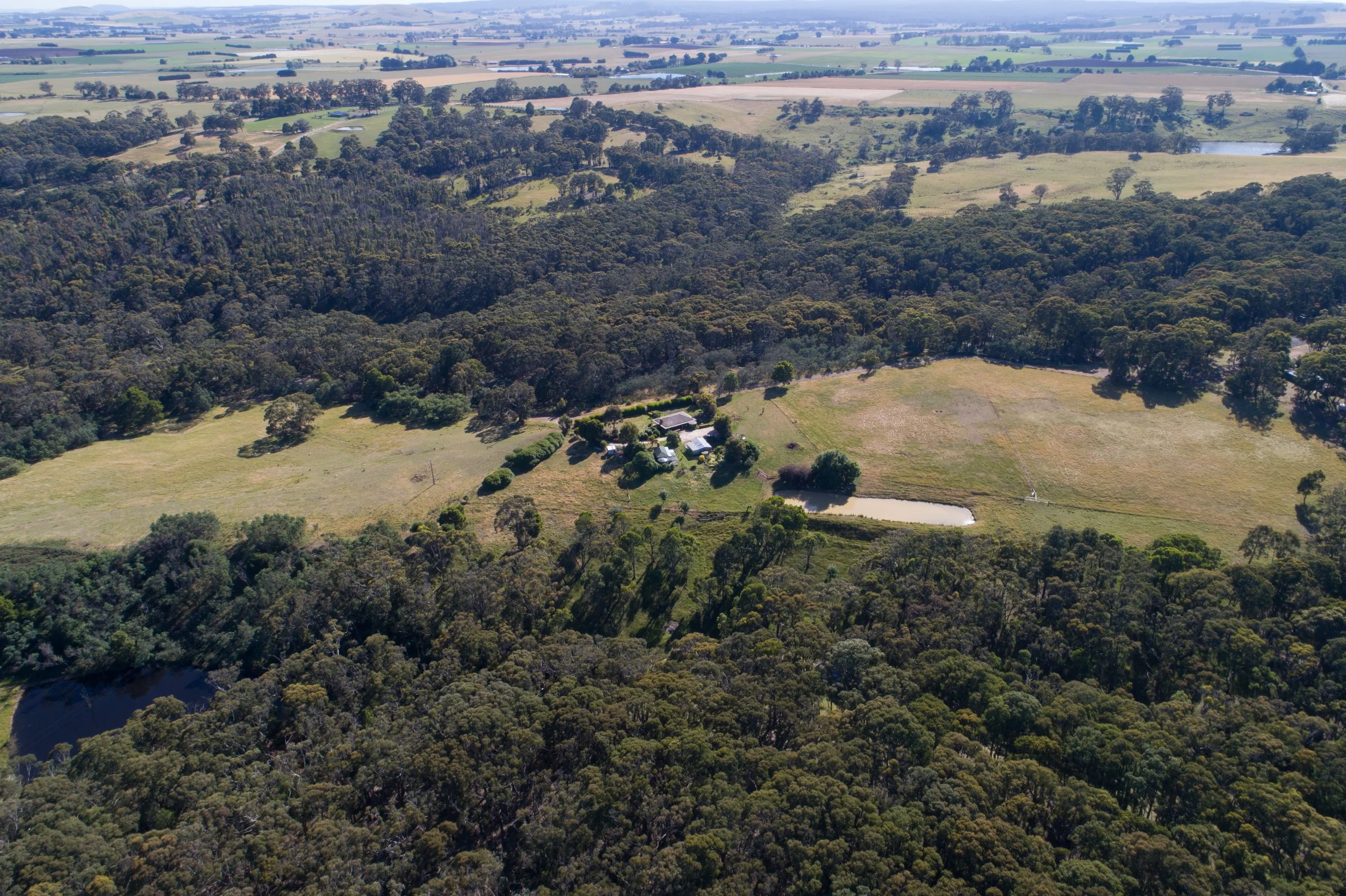 DJI_0063.jpg