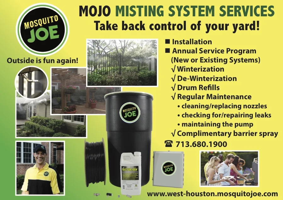 MOJO_Postcard2.jpg