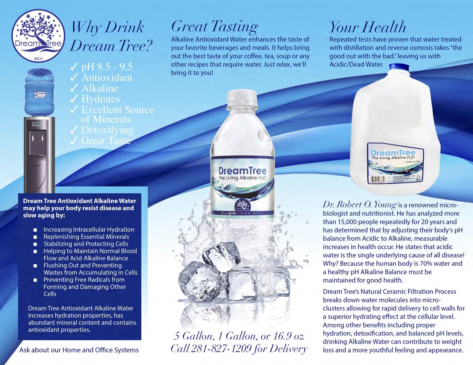 Brochure2_both_sidesb.jpg