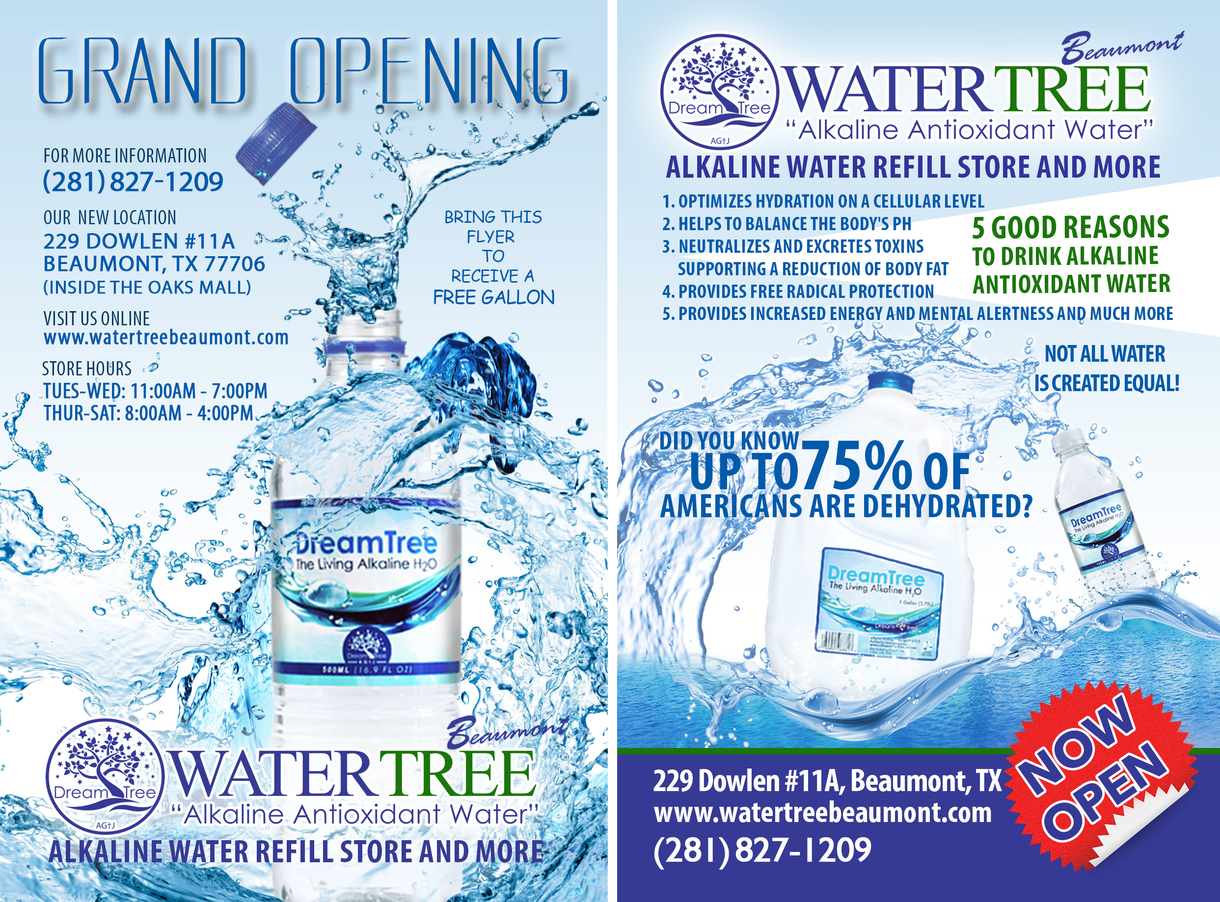 Flyer2.png