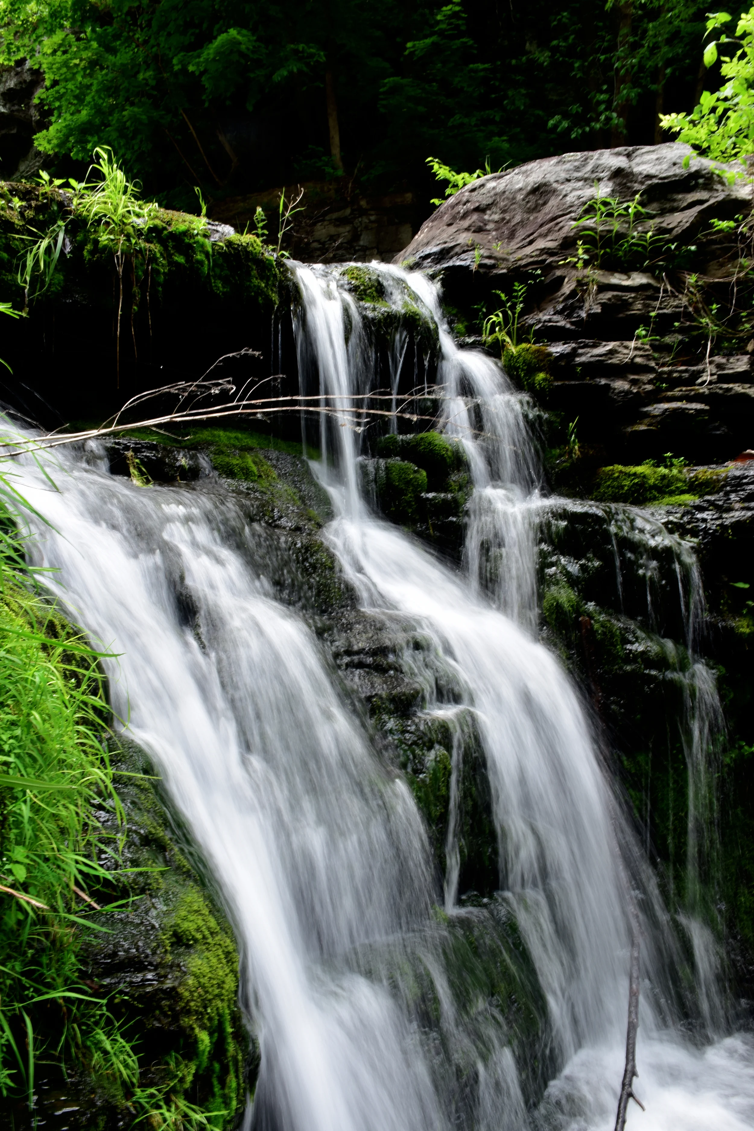 port folio water.jpg