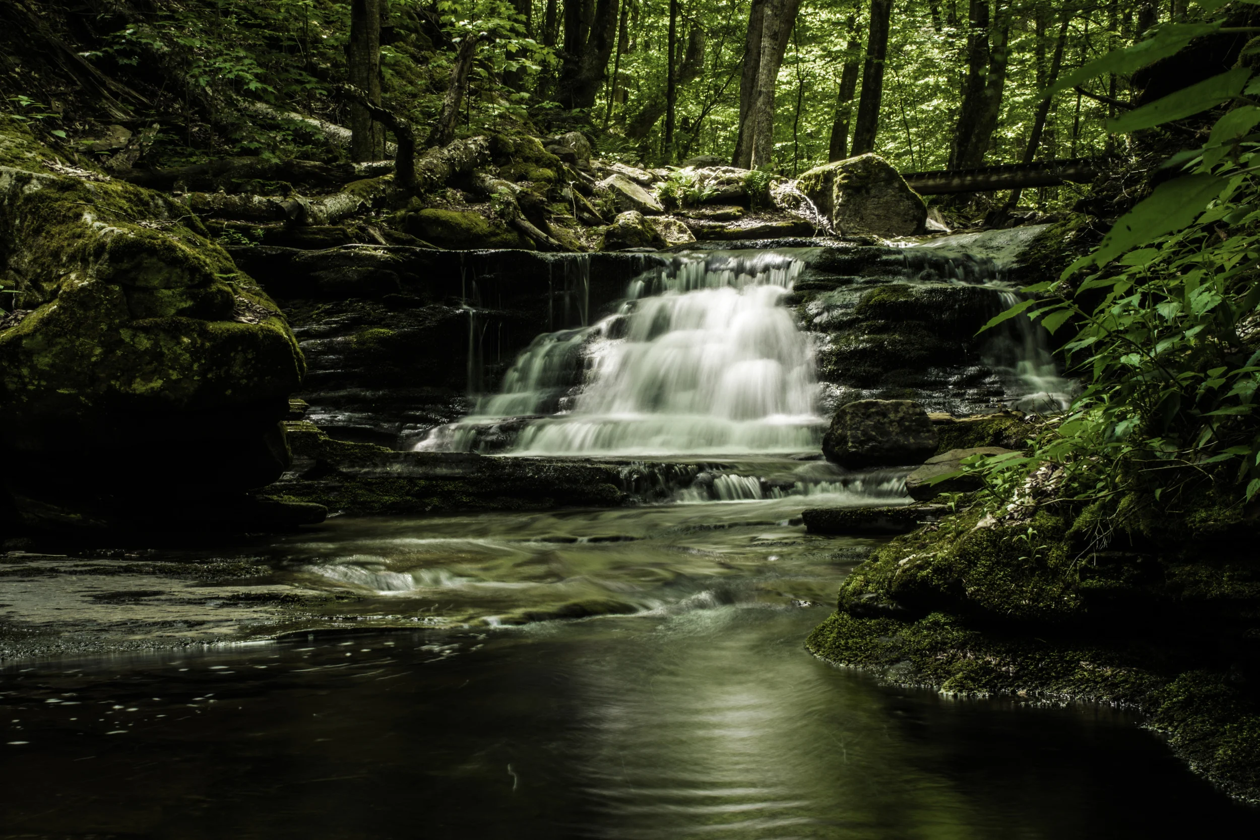 _DSC0269.jpg