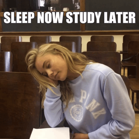 giphy (10).gif