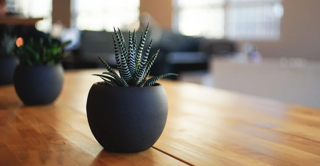 Library Resource image Plants.jpg
