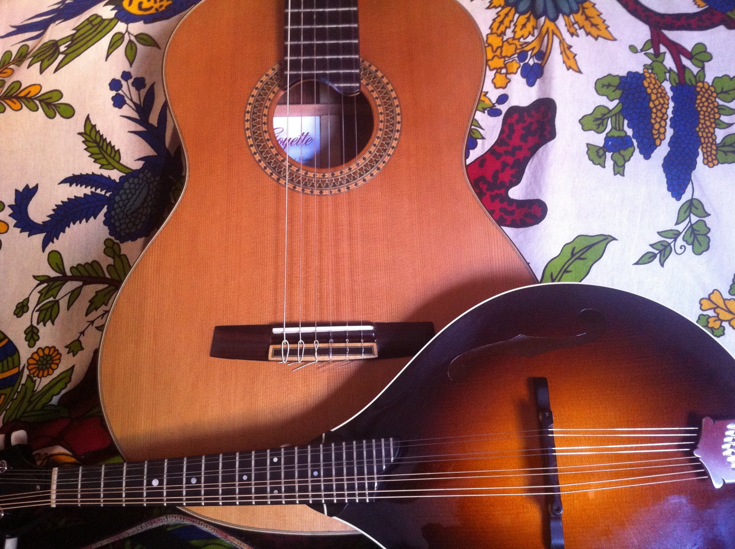 Classical Mandolin & Guitar Workshop