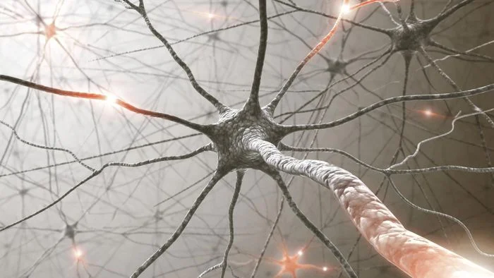 neuromain.jpg