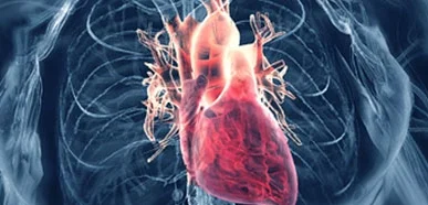 cardiologymain.jpg