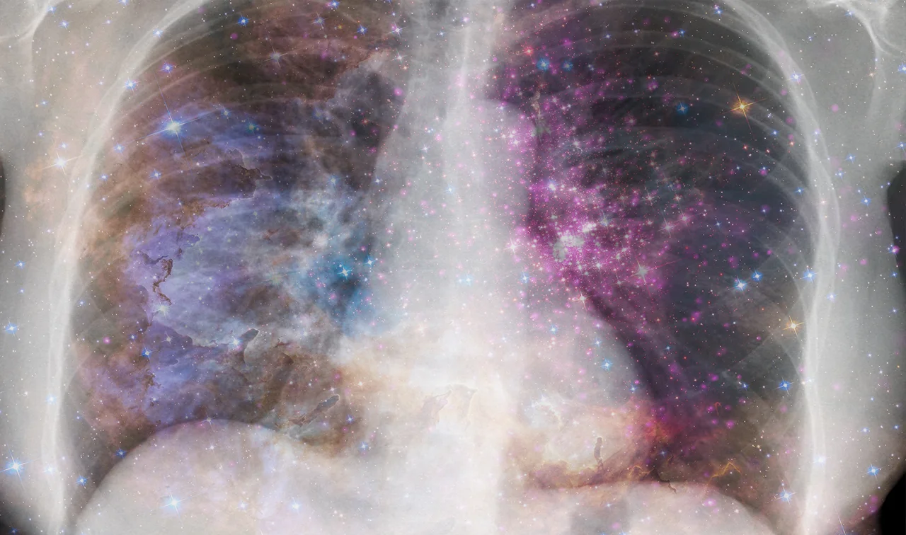 curiouscase2banner.jpg