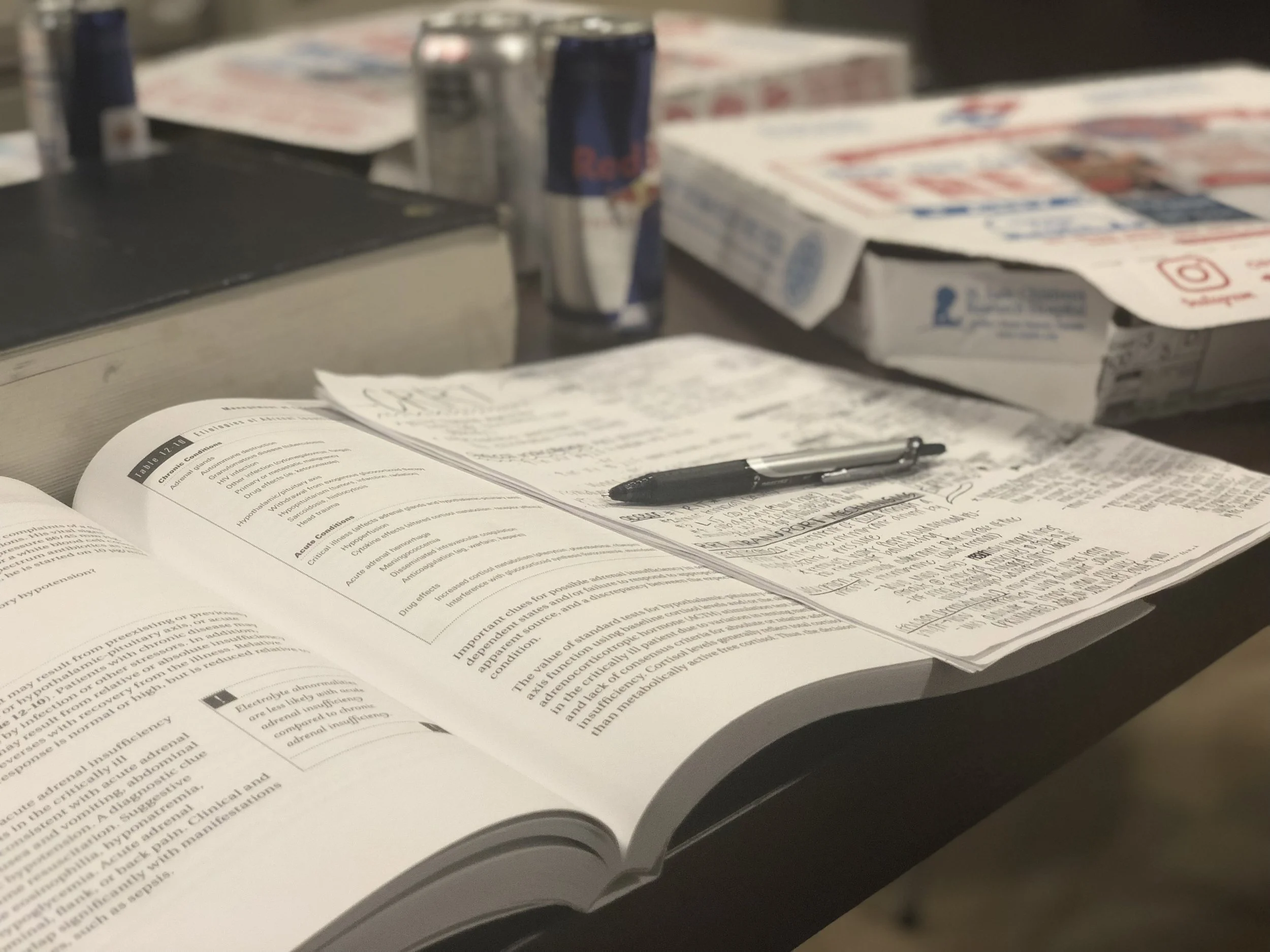 studying.jpg