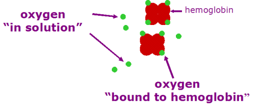 oxygensolution.gif