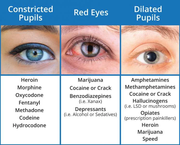 pupils.jpg