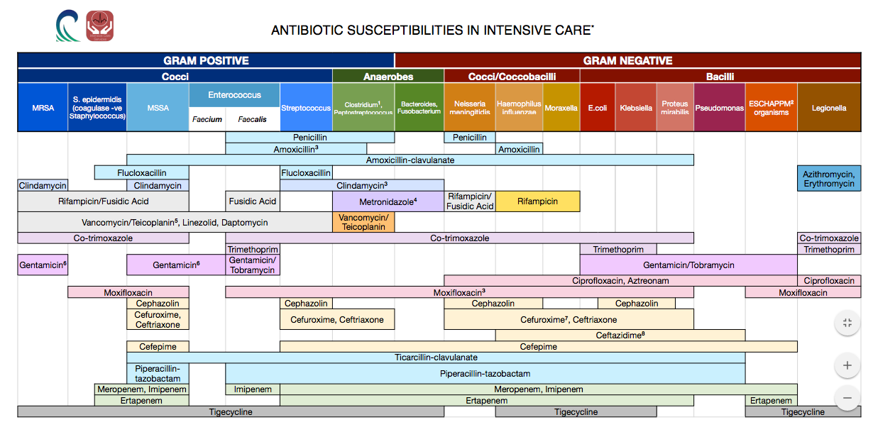 antibiotics.png