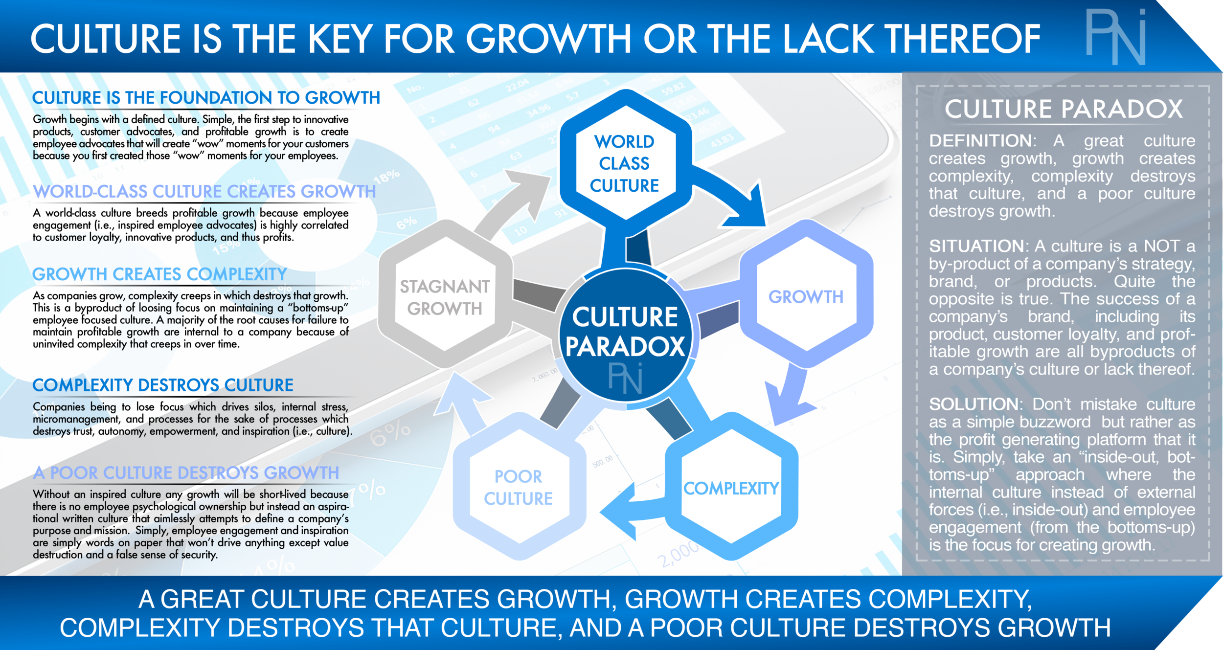 Culture Paradox
