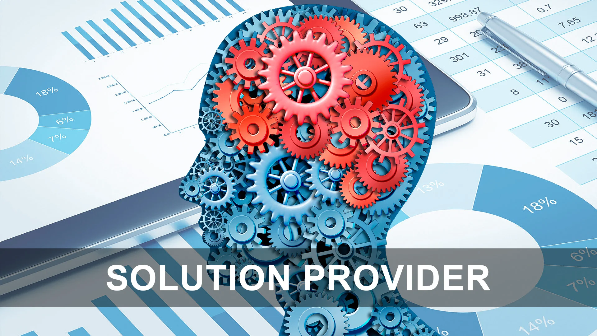Solution Provider - KAM.jpg