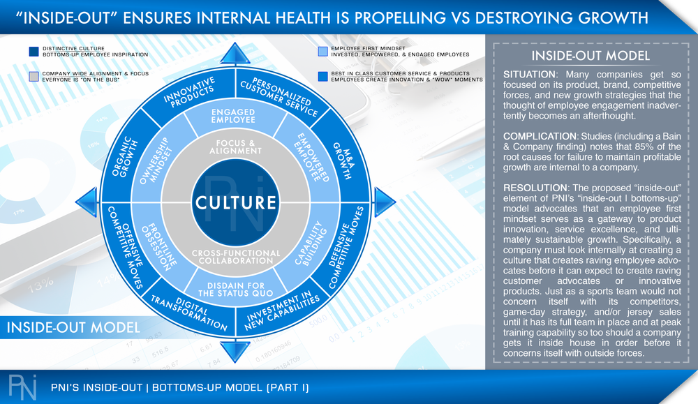 Customer Experience And Service Excellence Transformations Pni Global Management Consulting