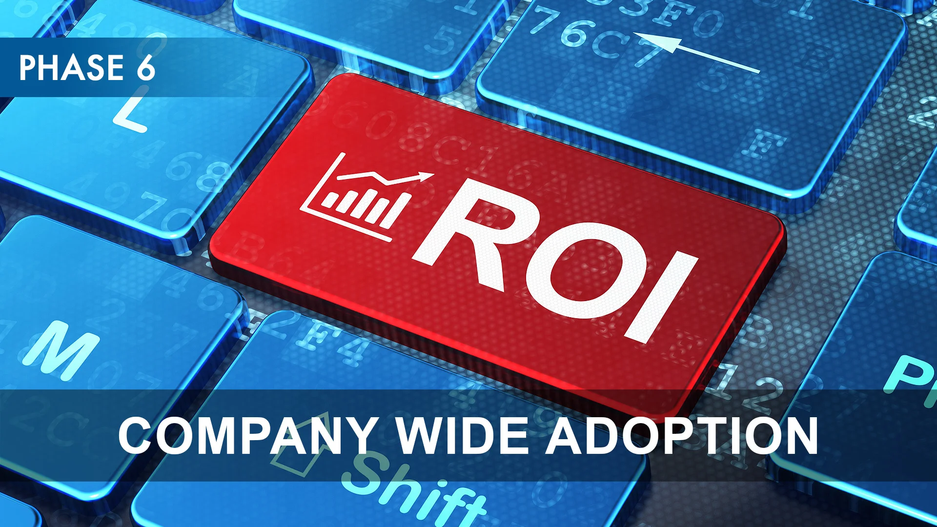 Phase 6 - Company Wide Adoption.jpg