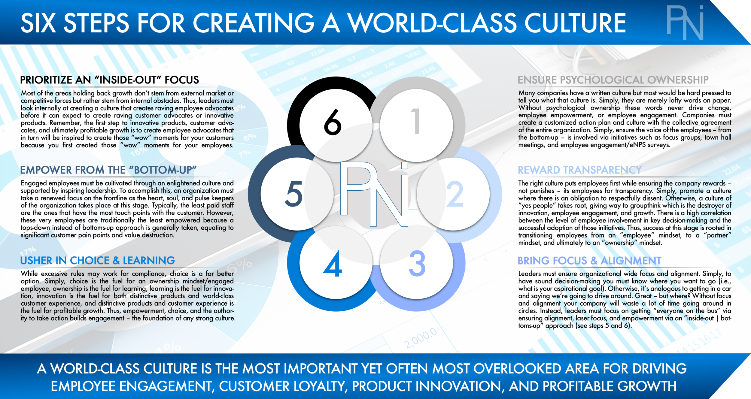 Six Steps for Creating a World-Class Culture - PNI Consulting.png