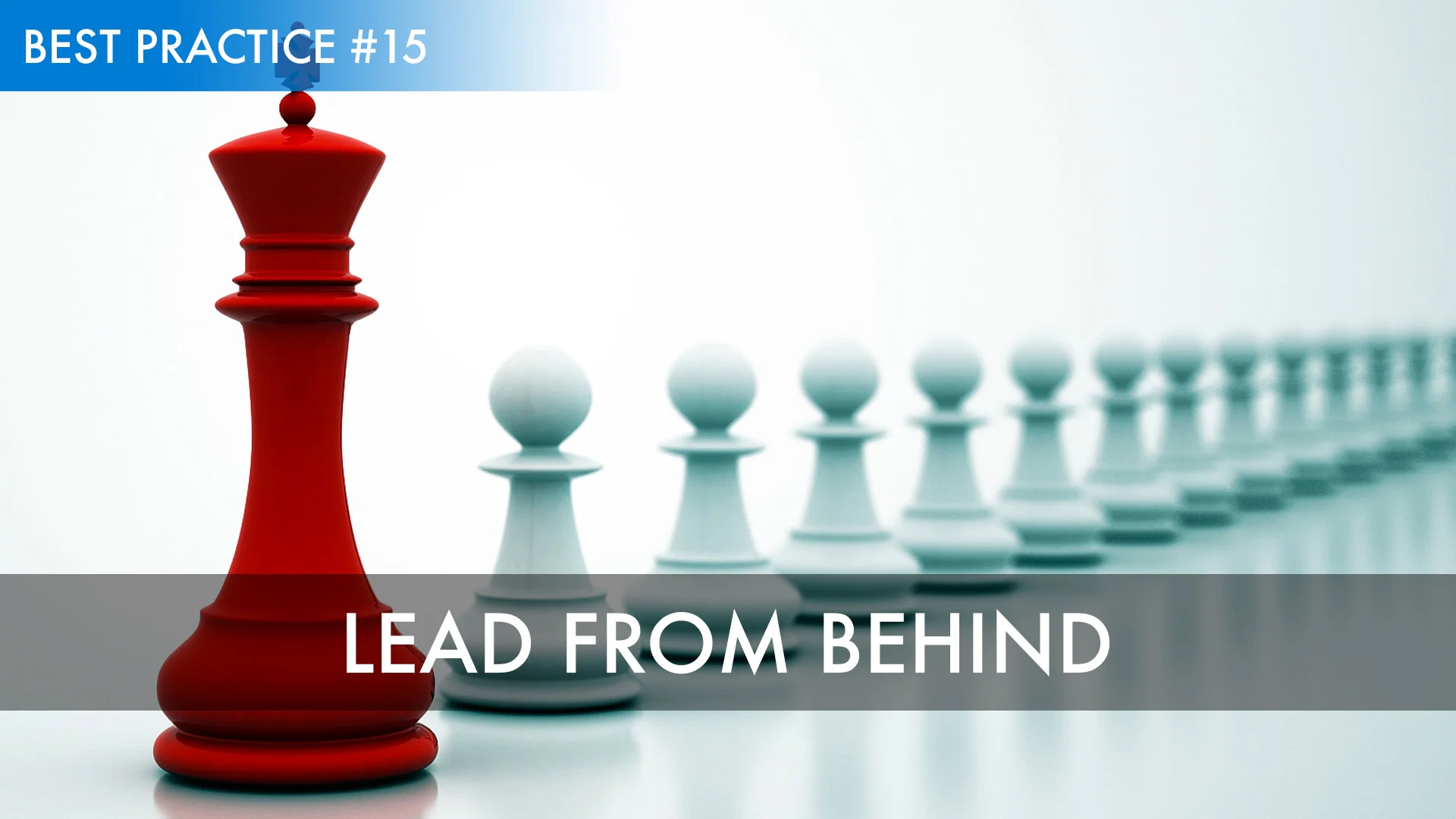 Best Practice #15: Lead from Behind