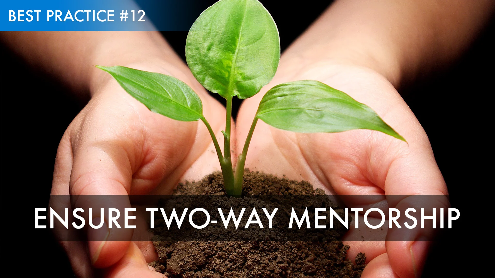 Best Practice #12: Ensure Two-Way Mentorship